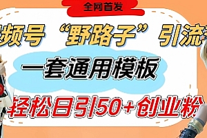 视频号“野路子”玩法,评论区疯狂截流,一套模板单日单号引流50+创业粉