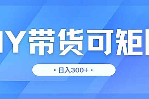 (14414期)DY带货,日入300+矩阵无上限