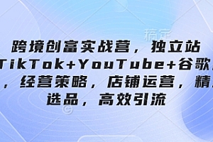 跨境创富实战营,独立站+TikTok+YouTube+谷歌广告,经营策略,店铺运营,精准选品,高效引流