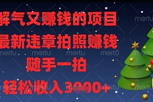 解气又挣钱的项目,最新违章拍照挣钱,随手一拍,轻松收入多张【揭秘】
