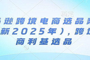 亚马逊跨境电商选品案例(更新2025年4月),跨境电商利基选品