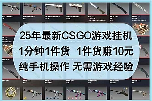 (14439期)25年最新CSGO游戏挂机,1分钟1件货,1件货赚10元 纯手机操作 无需游戏经验