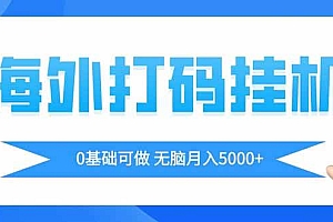 (14449期)海外打码平挂机项目,全自动撸美金,无脑月入5000+