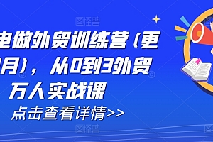 AI闪电做外贸训练营(更新25年4月),从0到3外贸万人实战课