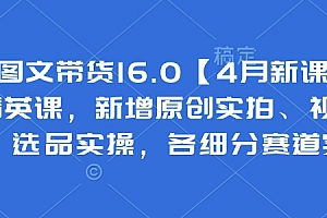 抖音图文带货16.0【4月新课】基础+精英课,新增原创实拍、视频混剪、选品实操,各细分赛道实操