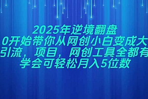 (14473期)2025年逆境翻盘,从0开始带你从网创小白变成大佬,引流,项目,网创工…