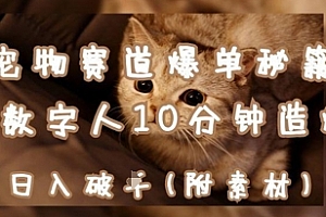 宠物赛道爆单秘籍:AI+数字人10分钟造爆款,日入1k
