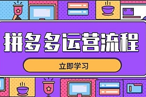 (14503期)拼多多运营流程,从选品到流量,全链路运营技巧,助力店铺爆单