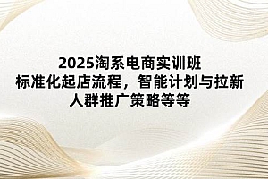 (14522期)2025淘系电商实训班:标准化起店流程,智能计划与拉新,人群推广策略等等