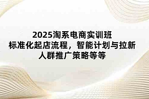2025淘系电商实训班:标准化起店流程,智能计划与拉新,人群推广策略等等