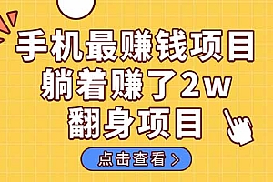 (14539期)暴利项目,手机一键代发视频被动收入1000+,零成本做老板长期管道收益!