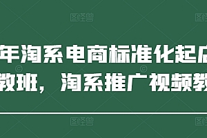 2025年淘系电商标准化起店流程私教班,淘系推广视频教程