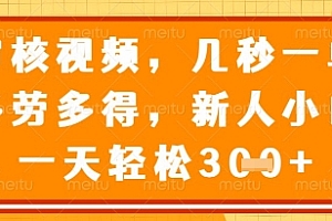 视频审核员,几秒一单,不限时间,不限地点,多做多得,新人小白一天轻松几张+【揭秘】