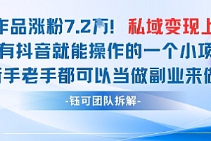 抖音私域项目23条作品涨粉7.2W,私域变现1W