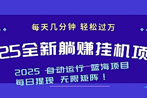 (14608期)2025z最新挂机躺赚项目 一个月轻松上万