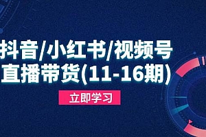 (14611期)抖音/小红书/视频号/直播带货(11-16期),快速掌握平台规则,打造爆款内容