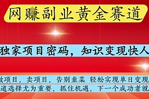 网创副业黄全赛道,掌握独家项目密码,知识变现快人一步,告别韭菜轻松实现单日变现1k+【揭秘】