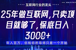 什么!25年你还在找项目做?风口早就变了,卖项目才是稳挣不赔【揭秘】