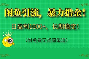 (14647期)闲鱼引流,暴力撸金,日盈利1000+,长期稳定!(附免费无货源渠道)