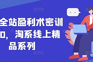 无界全站盈利术密训22.0,淘系线上精品系列