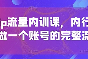 个人ip流量内训课,内行人教你做一个账号的完整流程