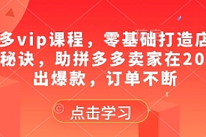 拼多多vip课程,零基础打造店铺的核心秘诀,助拼多多卖家在2025卖出爆款,订单不断