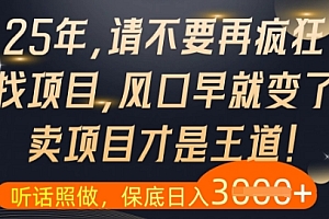 什么?25年你还在疯狂找项目做,醒醒吧,看完这些你全都懂了【揭秘】