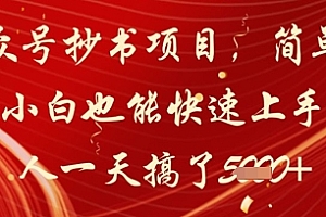 公众号抄书项目,简单粗暴,小白也能快速上手,有人一天搞了1k+
