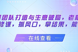 流量团队打造与生意破局,老板流量必修课,抓风口,拿结果,能落地