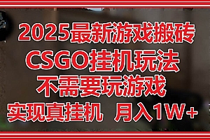 (14743期)2025最新游戏搬砖,CSGO挂机,不需要玩游戏,实现真挂机,月入1W+