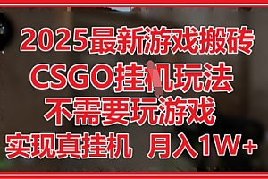 2025最新游戏搬砖,CSGO挂G,不需要玩游戏,实现真挂G,月入1W+【揭秘】