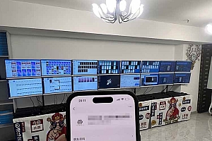 (14767期)2025年实操六大项目实操演练,挂机类型,AI直播类型,轻资产创业类型,…