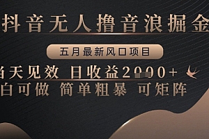抖音无人撸音浪掘金,五月最新风口项目,当天见效,日收益多张,小白可做简单粗暴可矩阵【揭秘】