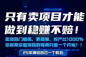 只有卖项目才能做到稳挣不赔,门槛低,更简单,你也可以年入百个W【揭秘】