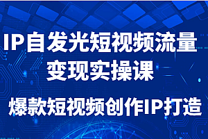 IP自发光短视频流量变现实操课,爆款短视频创作IP打造
