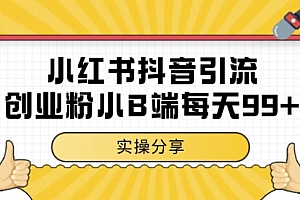 小红书抖音创业粉,小B端粉自热,日引99+的一个玩法【揭秘】