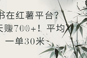 抄书在小红薯平台?平均一单30米,一天收益几张!