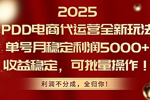 (14839期)2025PDD电商代运营全新玩法,单号月稳定利润5000+,收益稳定,可批量操作