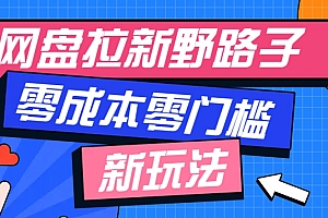 一个人也能操作的网盘拉新野路子玩法,零成本零门槛多种变现方式,轻松月入万元