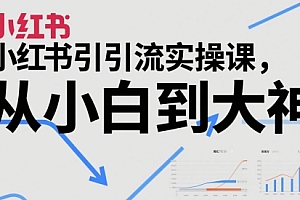 小红书引流实操课,从小白到大神