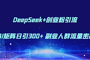 DeepSeek+创业粉引流 AI矩阵日引300+ 副业人群流量密码