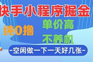 快手小程序掘金,纯0撸,单价高不养机 利用空闲时间做一做,一天好几张【揭秘】