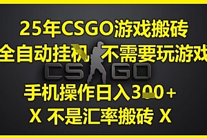 25年CSGO游戏搬砖,全自动运行,不需要玩游戏,手机操作日入3张(不是汇率搬砖)【揭秘】