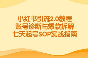 小红书引流2.0教程,账号诊断与爆款拆解,七天起号SOP实战指南