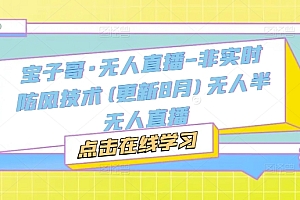 宝子哥·无人直播-非实时防风技术(更新25年6月)无人半无人直播