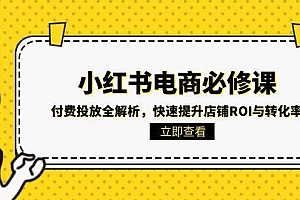 小红书电商必修课:付费投放全解析,快速提升店铺ROI与转化率