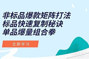 (15068期)非标品爆款矩阵打法,标品快速复制秘诀,单品爆量组合拳