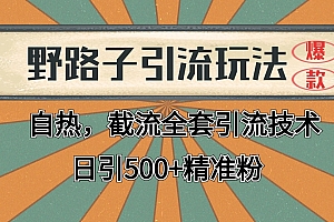 2024首发野路子引流玩法截流自热全平台打法,全自动引流【日引2000+精准客户】