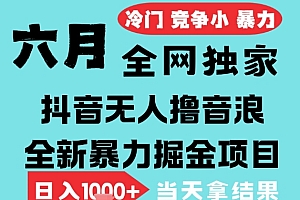 2025年6月高爆抖音无人直播最新撸音浪掘金项目,无脑日入1k+,低门槛小白可做,可矩阵放大【揭秘】