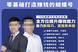 蝴蝶号专栏-视频号运营教程,零基础打造挣钱的蝴蝶号,14天蝴蝶号变现全攻略